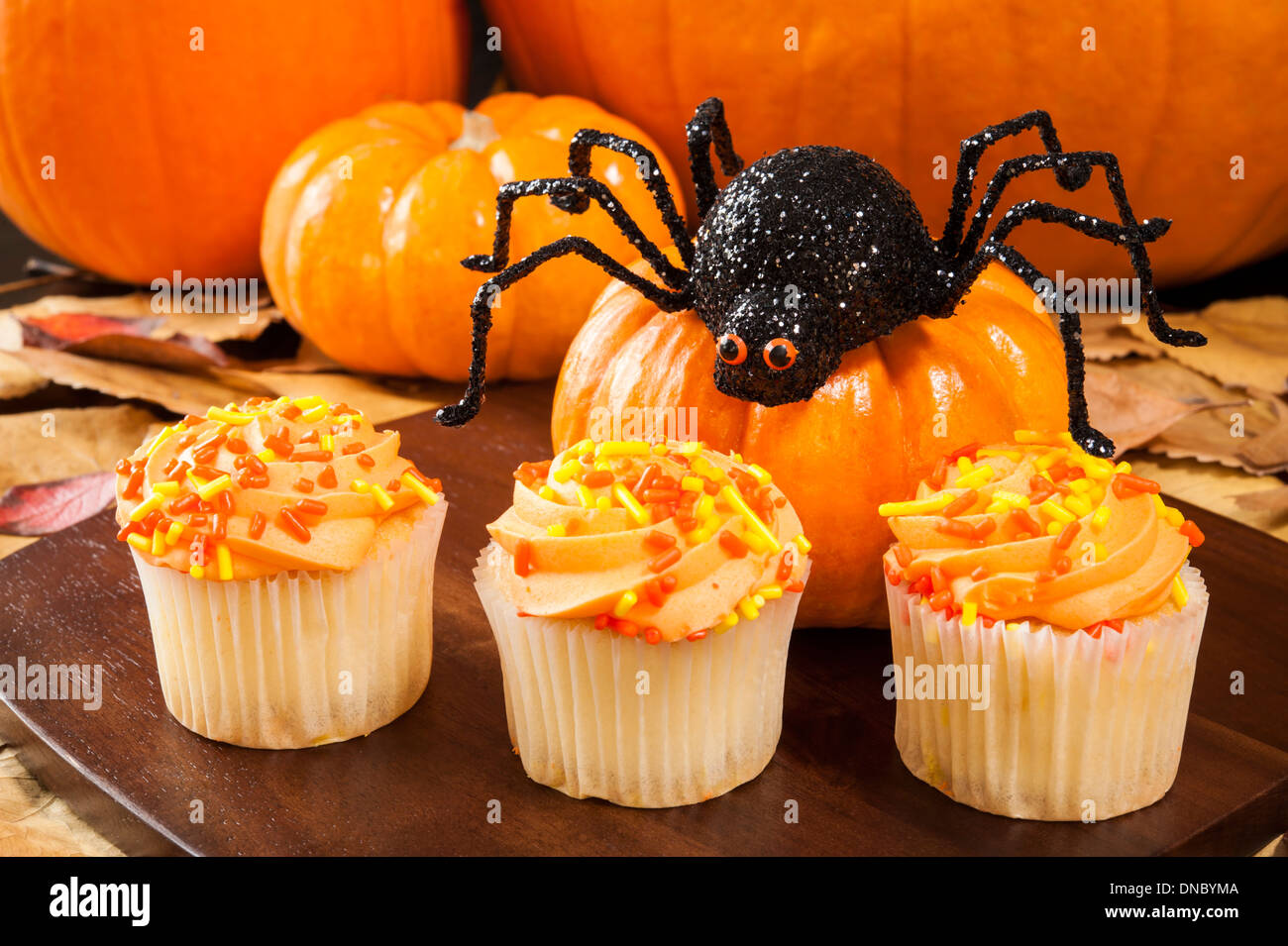 Halloween Spinne mit Kürbissen und drei cupcakes Stockfoto