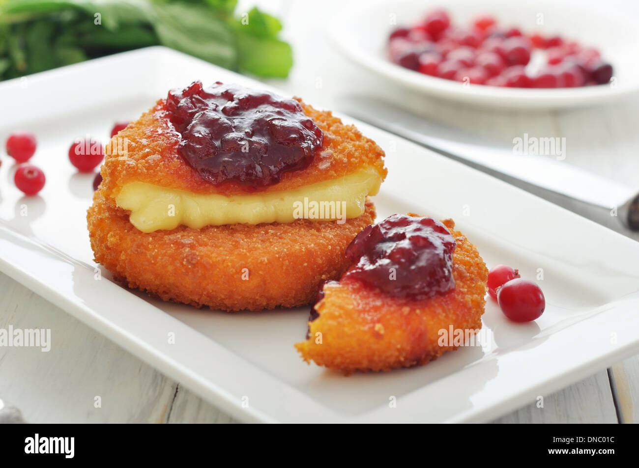 Panierte und gebackene Camembert mit Preiselbeersauce auf weißen Teller closeup Stockfoto