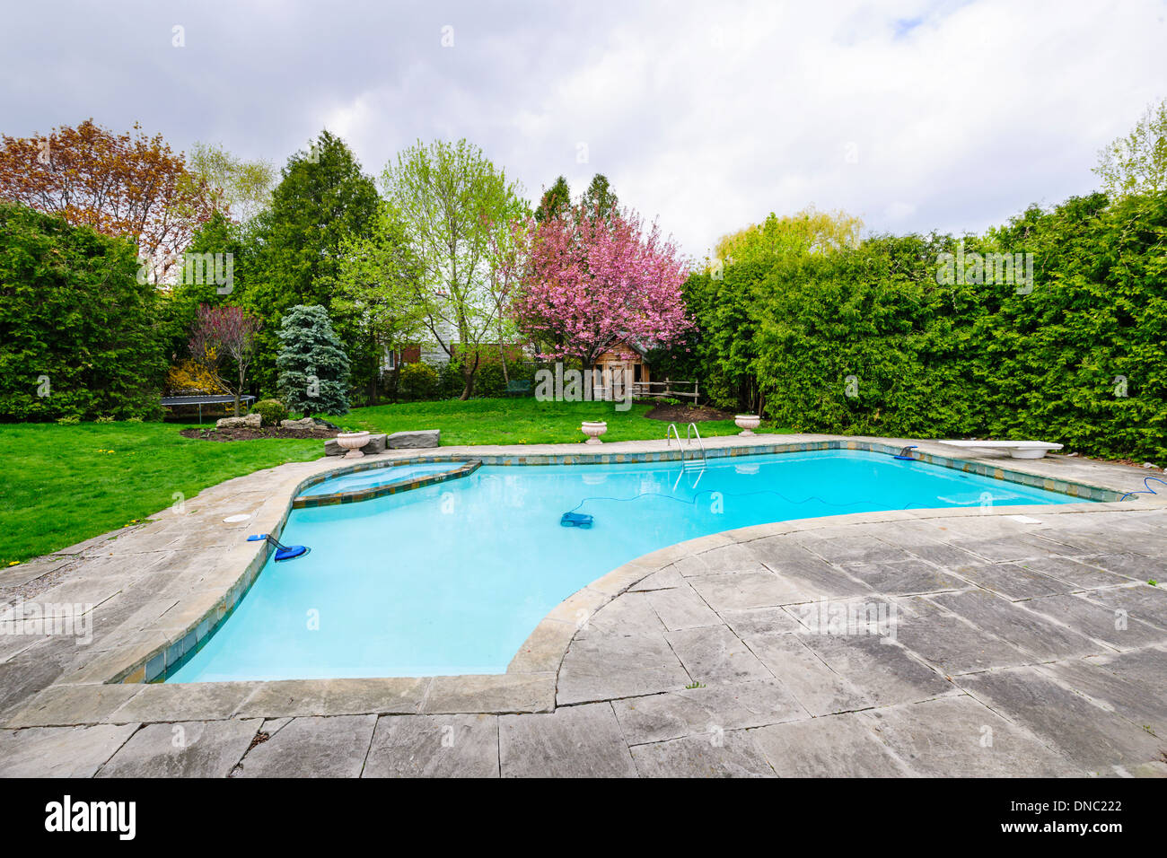 Hinterhof mit inground Wohn privaten Außenpool und steinernen Terrasse Stockfoto