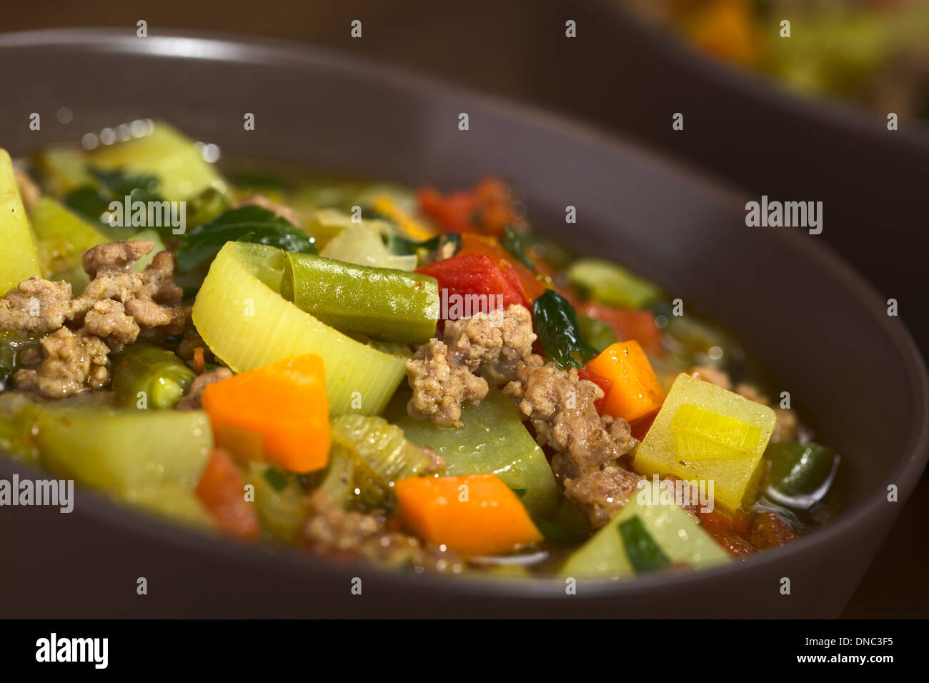 Gemüsesuppe mit Hackfleisch, grüne Bohnen, Kartoffeln, Lauch, Karotten, Tomaten und Petersilie in braunen Schüssel serviert Stockfoto