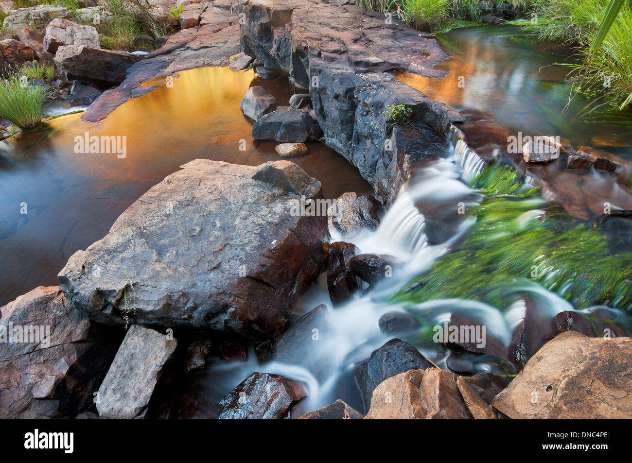 Wasserfall-Kaskaden, die die sonnenbeschienenen Felswände in der Adcock Gorge reflektieren. Stockfoto