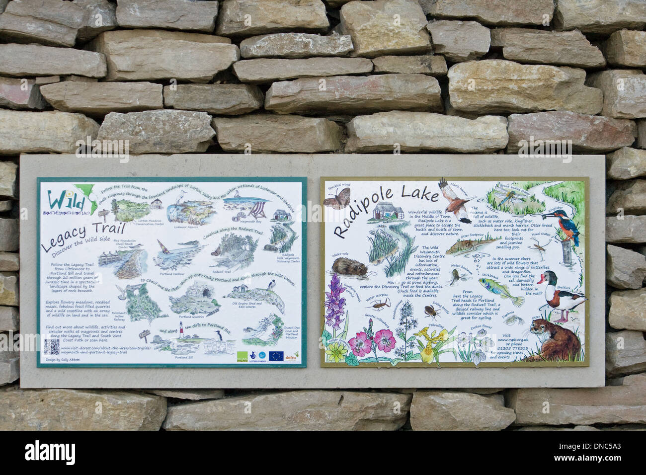Tierwelt-Informationstafel auf einer Steinmauer an Radipole, Weymouth, Dorset. Stockfoto