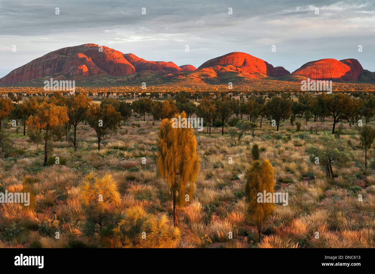 Die Südseite des Kata Tjuta im Morgenlicht. Stockfoto