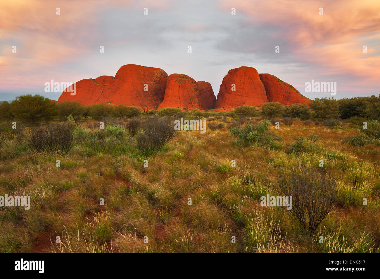 Die majestätischen Kuppeln der Kata Tjuta in Nachleuchten. Stockfoto