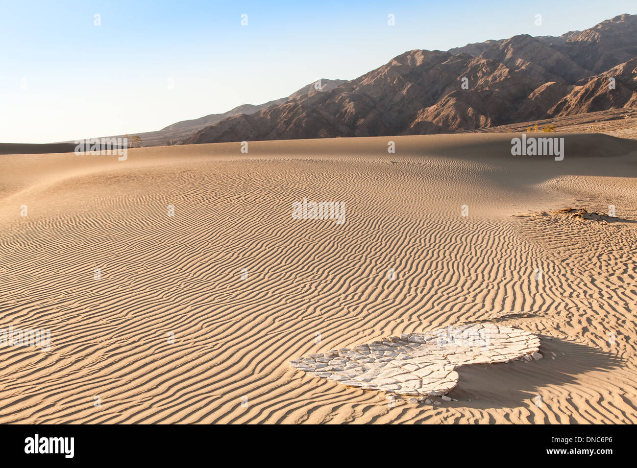 Sanddünen im Death Valley Wüste - California Mesquite flach Stockfoto