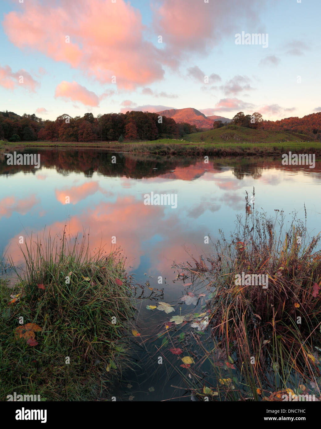Herbstfarbe spiegelt sich in den ruhigen Gewässern des Flusses Brathay in den Lake District in England Stockfoto
