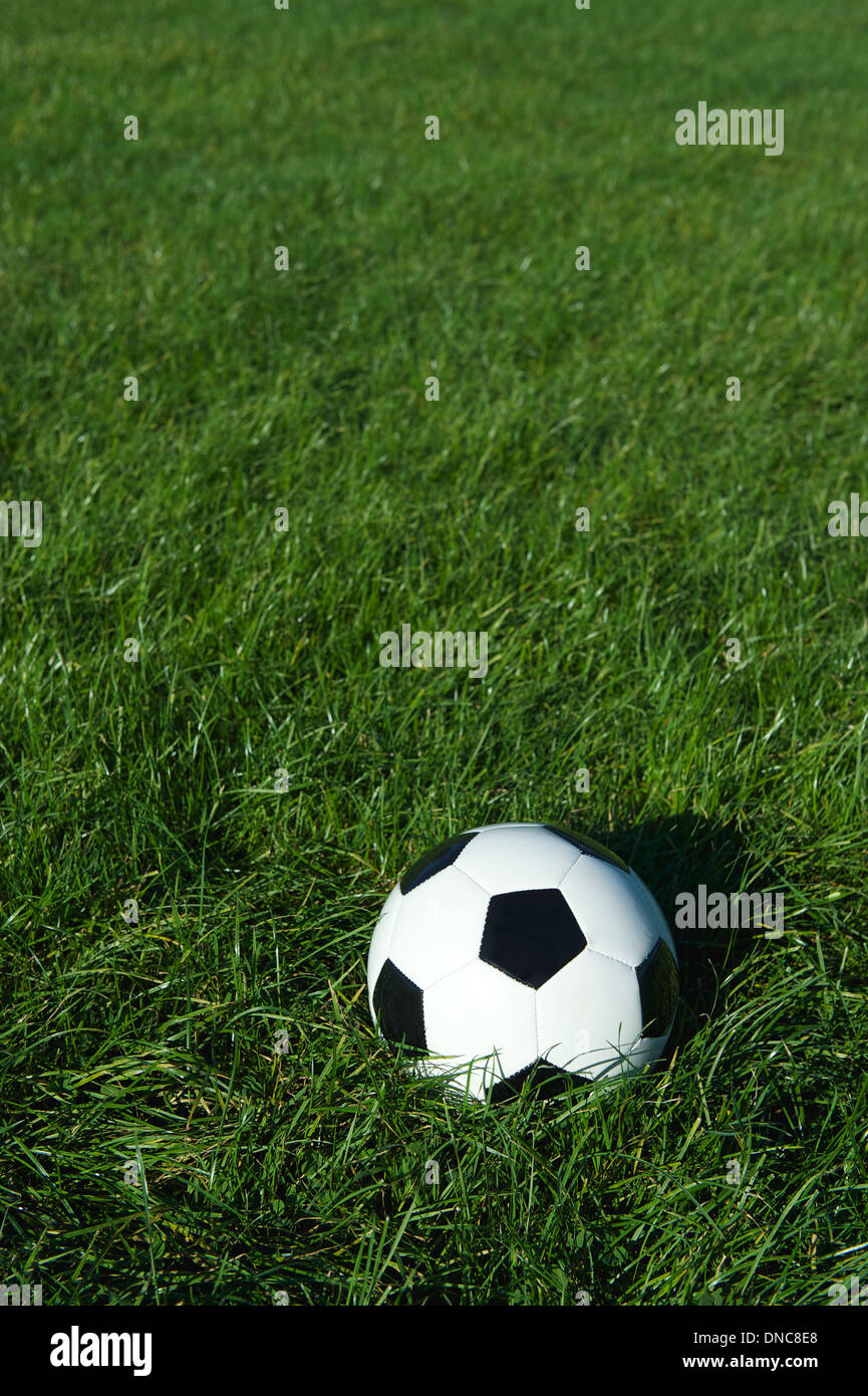 Klassische schwarze und weiße Fußball Kugel sitzt in einem Patch sonnigen grünen Gras Stockfoto