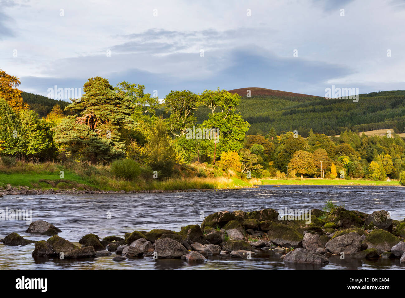 River Spey in Craigellachie Stockfoto