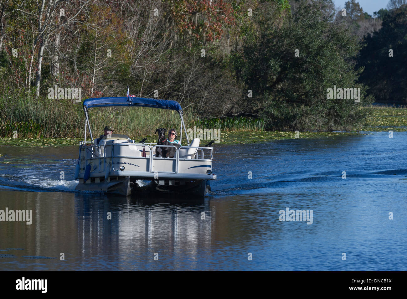Ponton-Boot am Fluss Haines Creek Lake County Leesburg, Florida USA Stockfoto