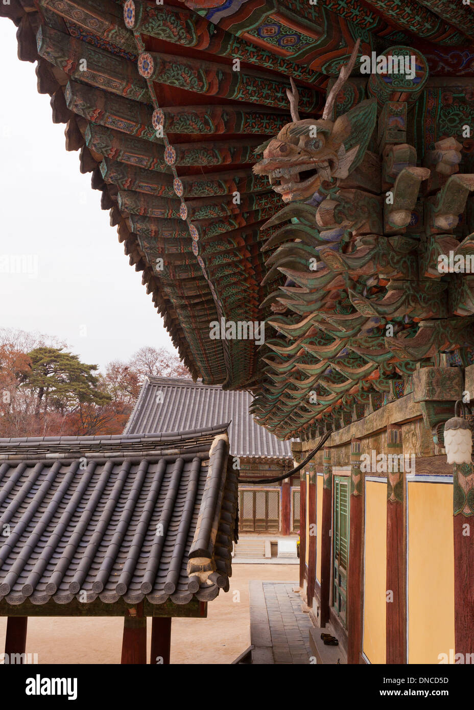 Bulguksa Tempel - Gyeongju, Südkorea Stockfoto