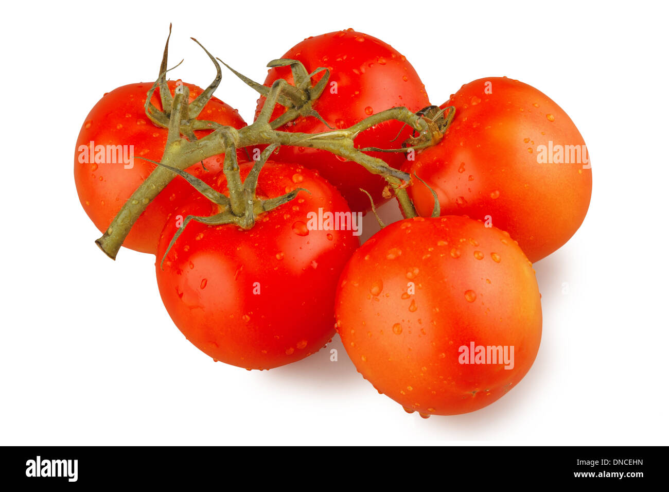 nassen Tomaten isoliert auf weiss Stockfoto