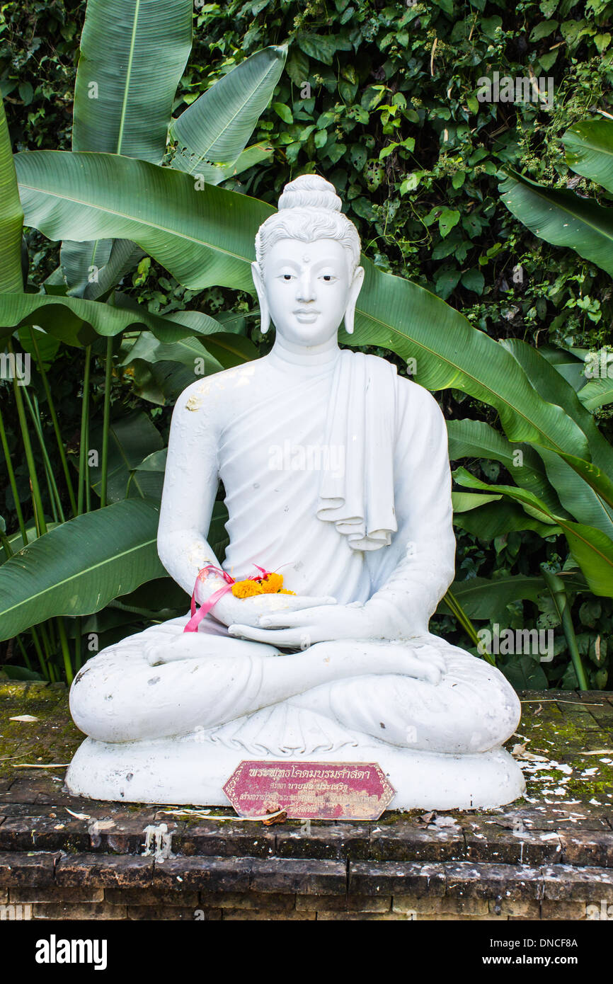 Weiße Buddha Stockfoto
