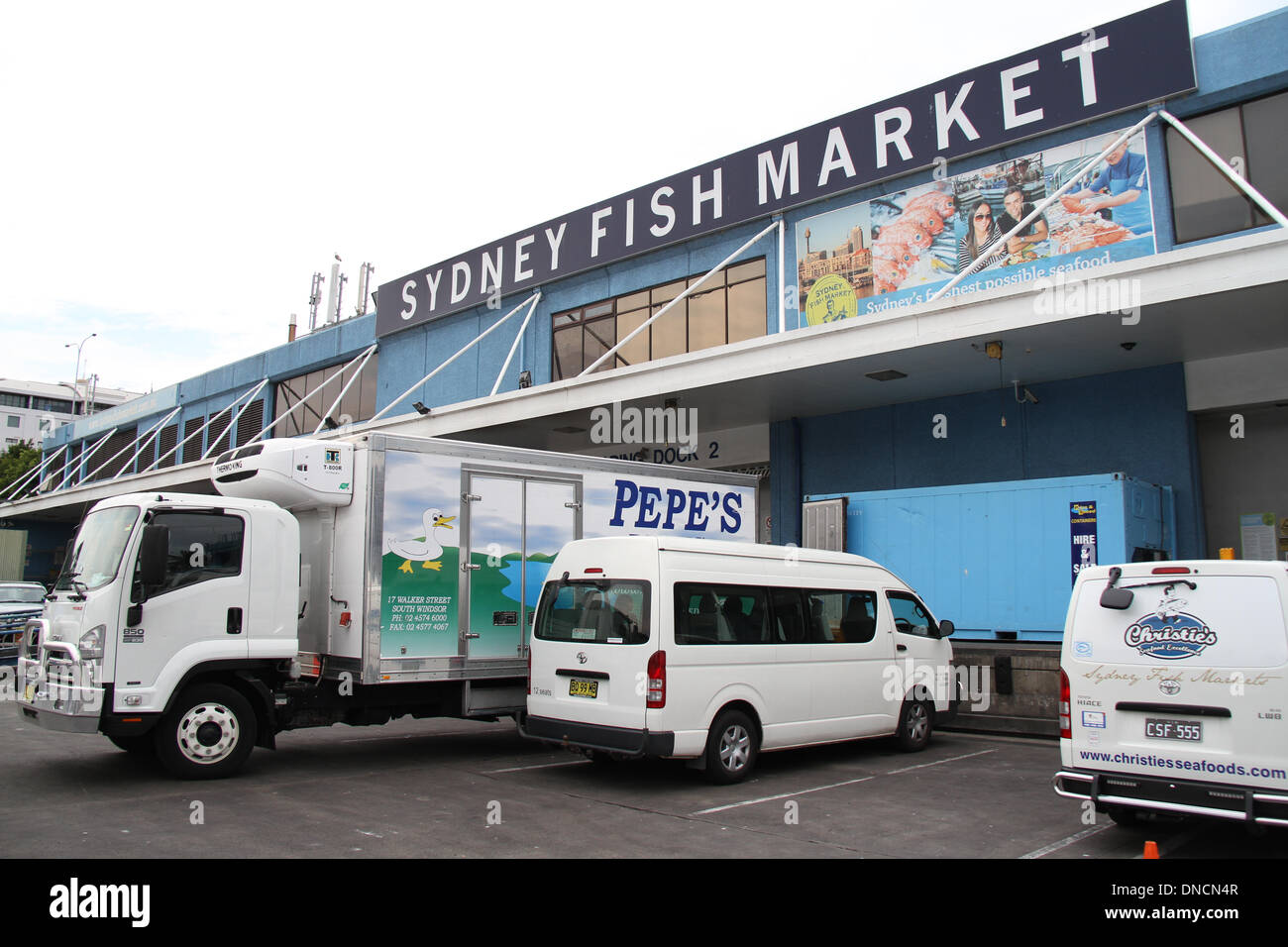 Sydney Fish Market, Pyrmont, Sydney, New South Wales, Australien. 23. Dezember 2013. Die Sydney Fischmarkt in Pyrmont wird offen sein für 36 Stunden im Vorfeld bis zu Weihnachten, ab 05:00 am Montag, den 23. Dezember. Copyright Credit: 2013 Richard Milnes/Alamy Live-Nachrichten Stockfoto