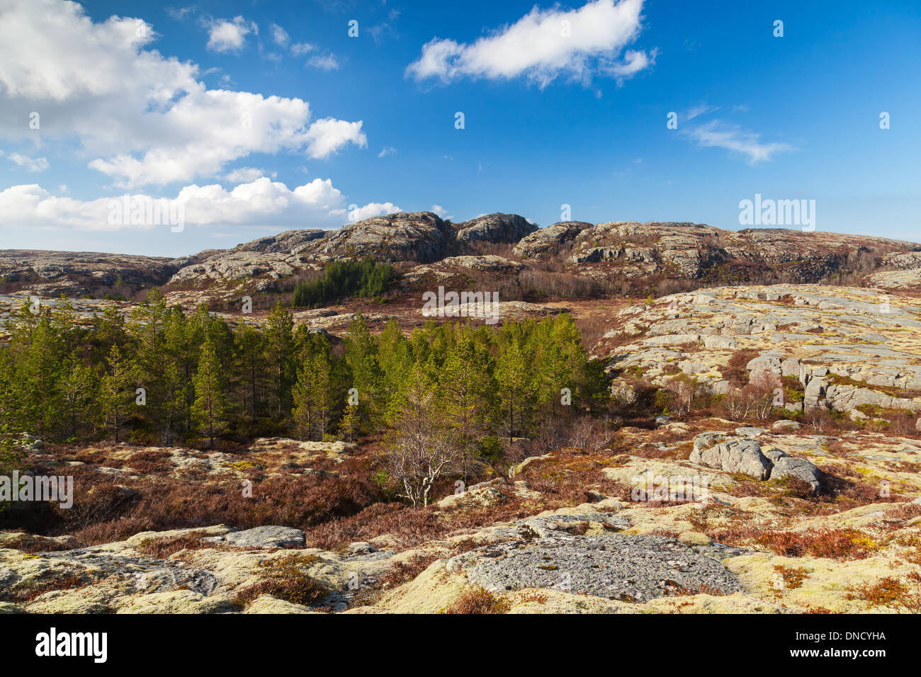 Norwegische Berglandschaft mit bewölktem Himmel und Pinien Stockfoto