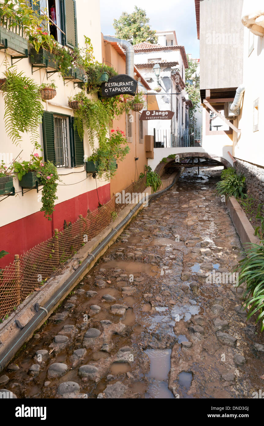 Eines der vielen künstlichen Kanäle in Funchal, ein Beispiel für die vielen Levadas, die überall auf der Insel Madeira zu finden sind Stockfoto