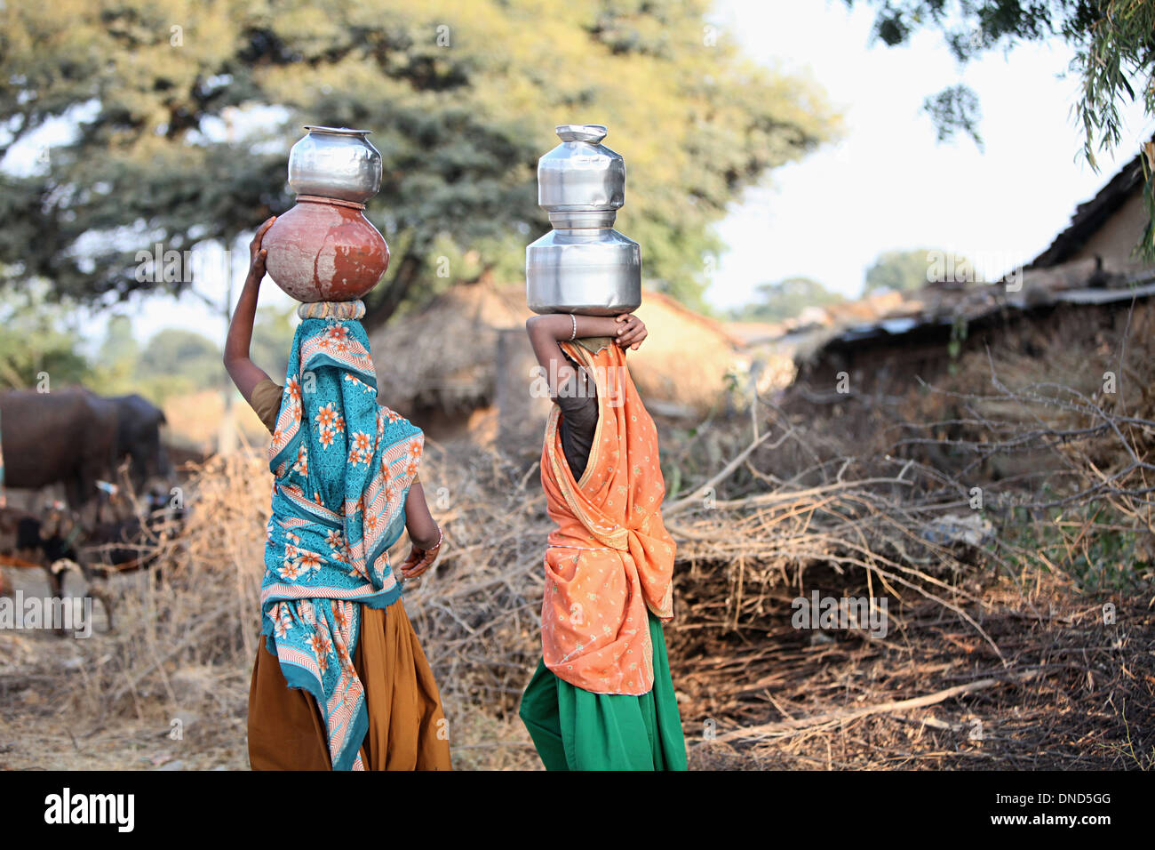 Indianerin Wassertragen. Bhil Stamm, Madhya Pradesh, Indien Stockfoto