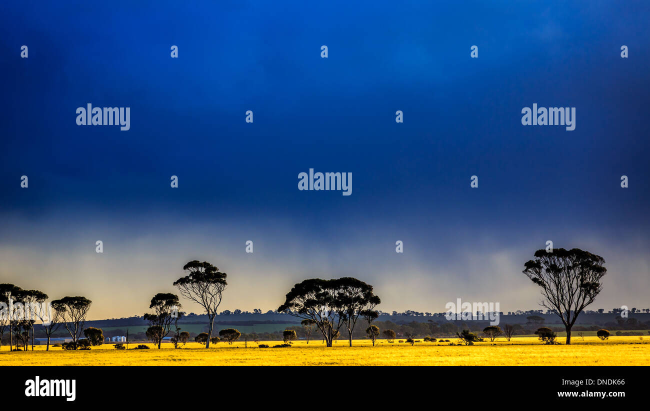 Dunkle Gewitterwolken nähert, Western Australia, Australien Stockfoto