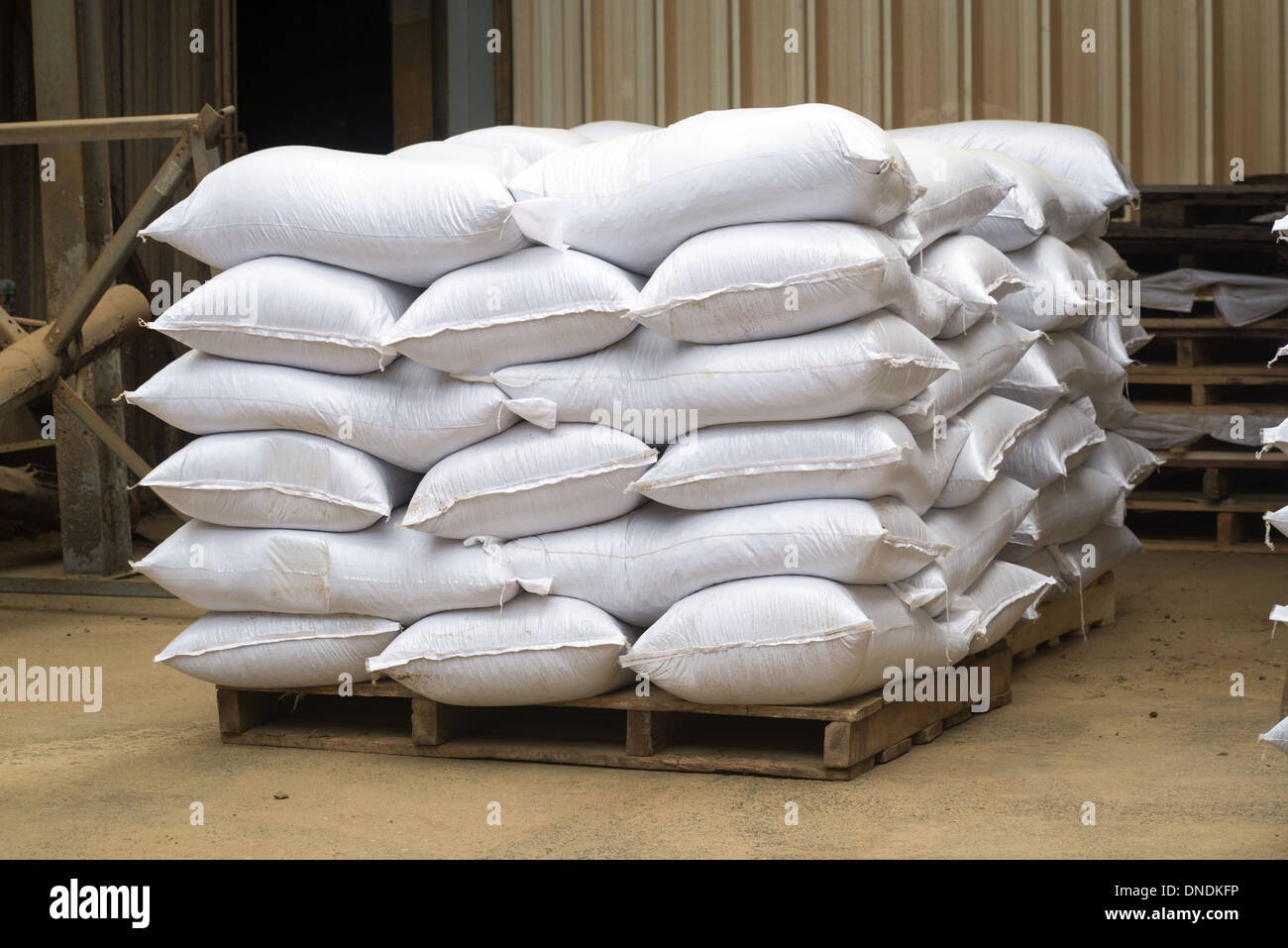 Raps-Öl (Raps)-Produktion bei Molinera Gorbea, beteiligt ein Korn-Prozessor bei der Herstellung von Fischfutter Temuco, Chile Stockfoto