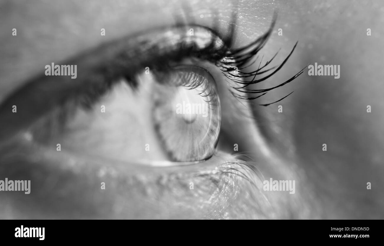 Black And White Nahaufnahme eines weiblichen menschlichen Auges Stockfoto