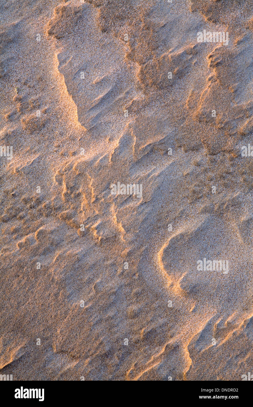 Eine Muster in den Sand vom Wind geformt und akzentuiert durch den Sonnenuntergang am Strand von Rhossili, Gower Peninsula. Stockfoto