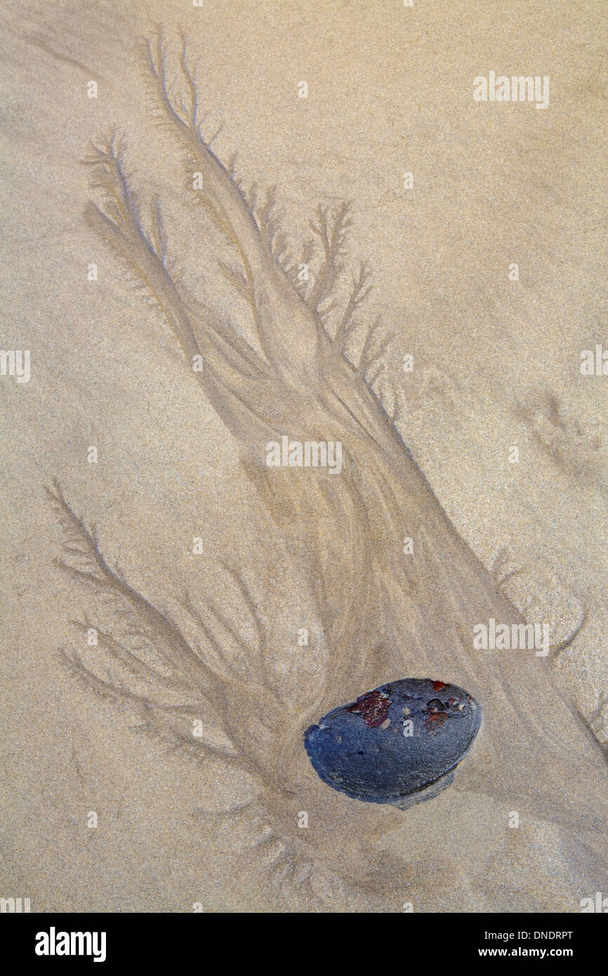 Kies und Sand Muster, die von der zurückweichenden Flut an St Brides Bay, Nolten Haven Stockfoto
