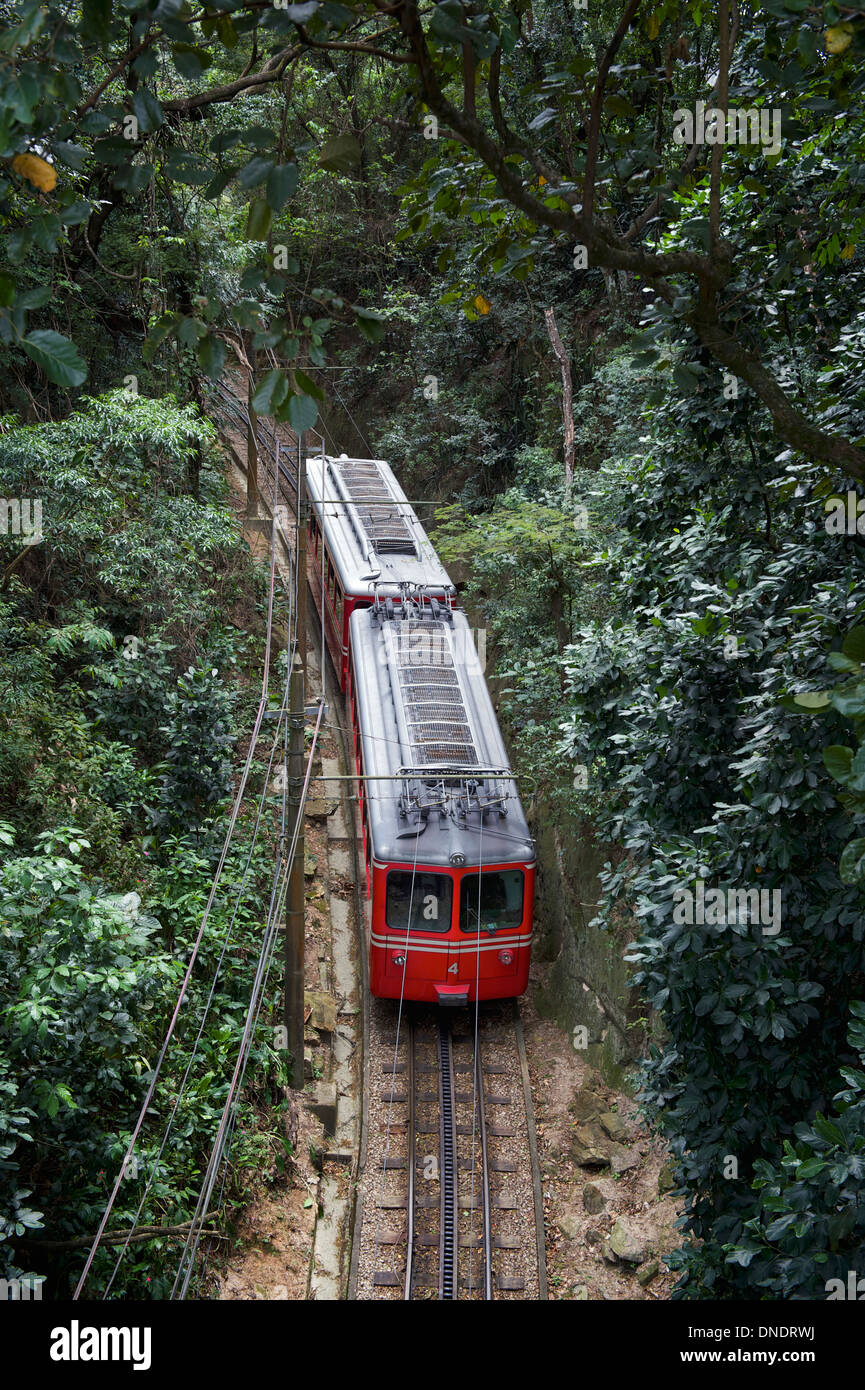 Brasilianische rote Zug Reisen durch dichten grünen Dschungel im Tijuca National Forest in Rio De Janeiro Brasilien Stockfoto