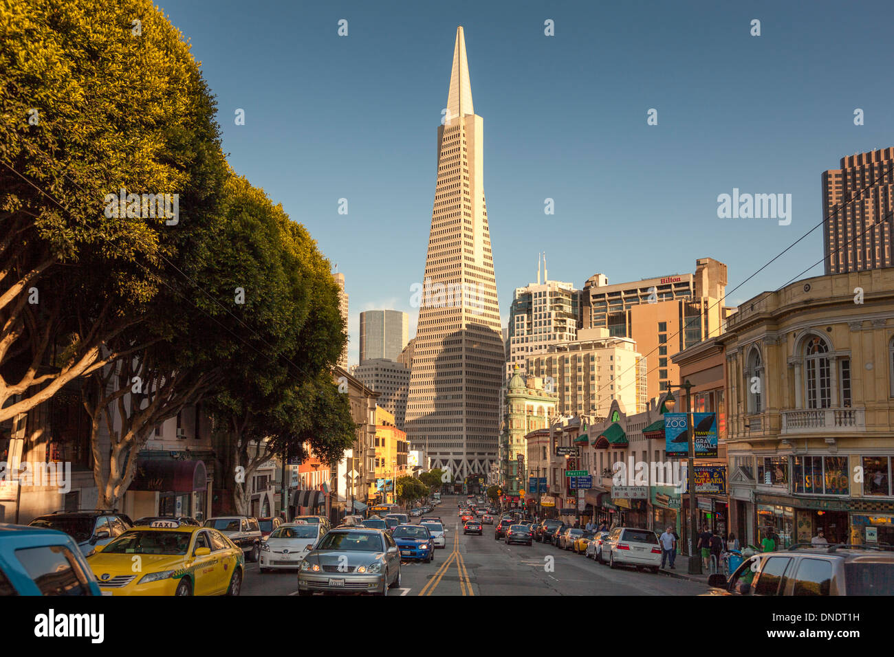 Verkehr an der Columbus Avenue mit dem legendären Transamerica-Gebäude, San Francisco, CA, USA Stockfoto