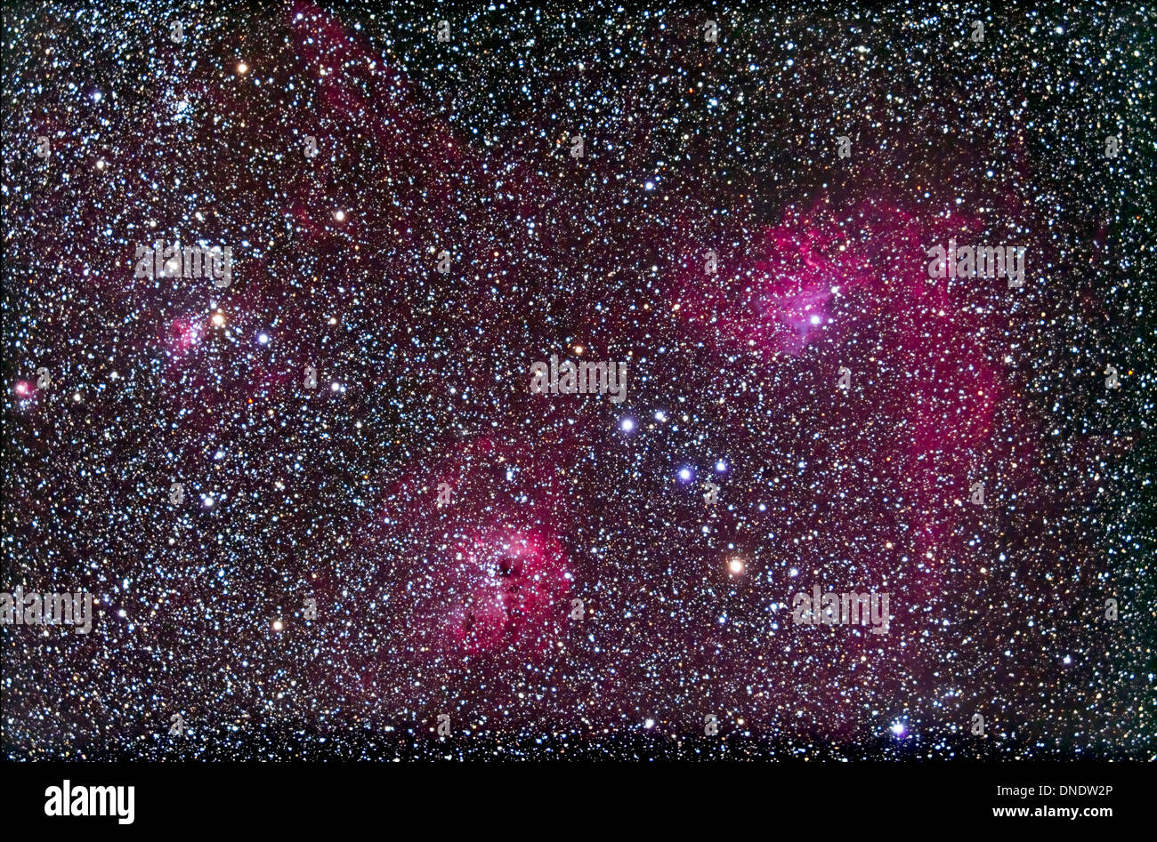 Bereich der Flaming Star Nebel und IC 410 und IC 417 Komplex in Auriga. Stockfoto