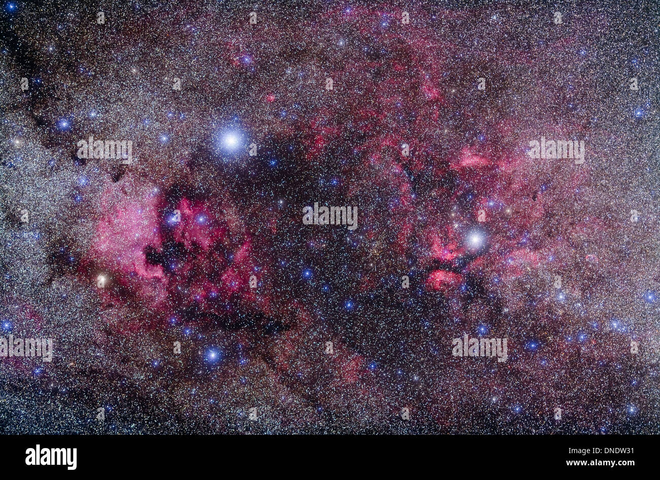 Nebel in Cygnus. Stockfoto
