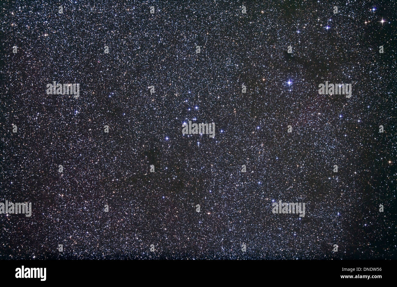 Öffnen Sie Cluster Messier 39 im Sternbild Cygnus. Stockfoto