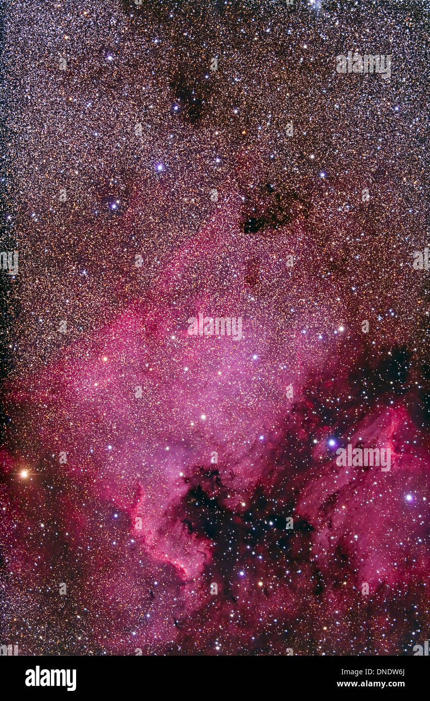 NGC 7000 und der Pelikan-Nebel. Stockfoto