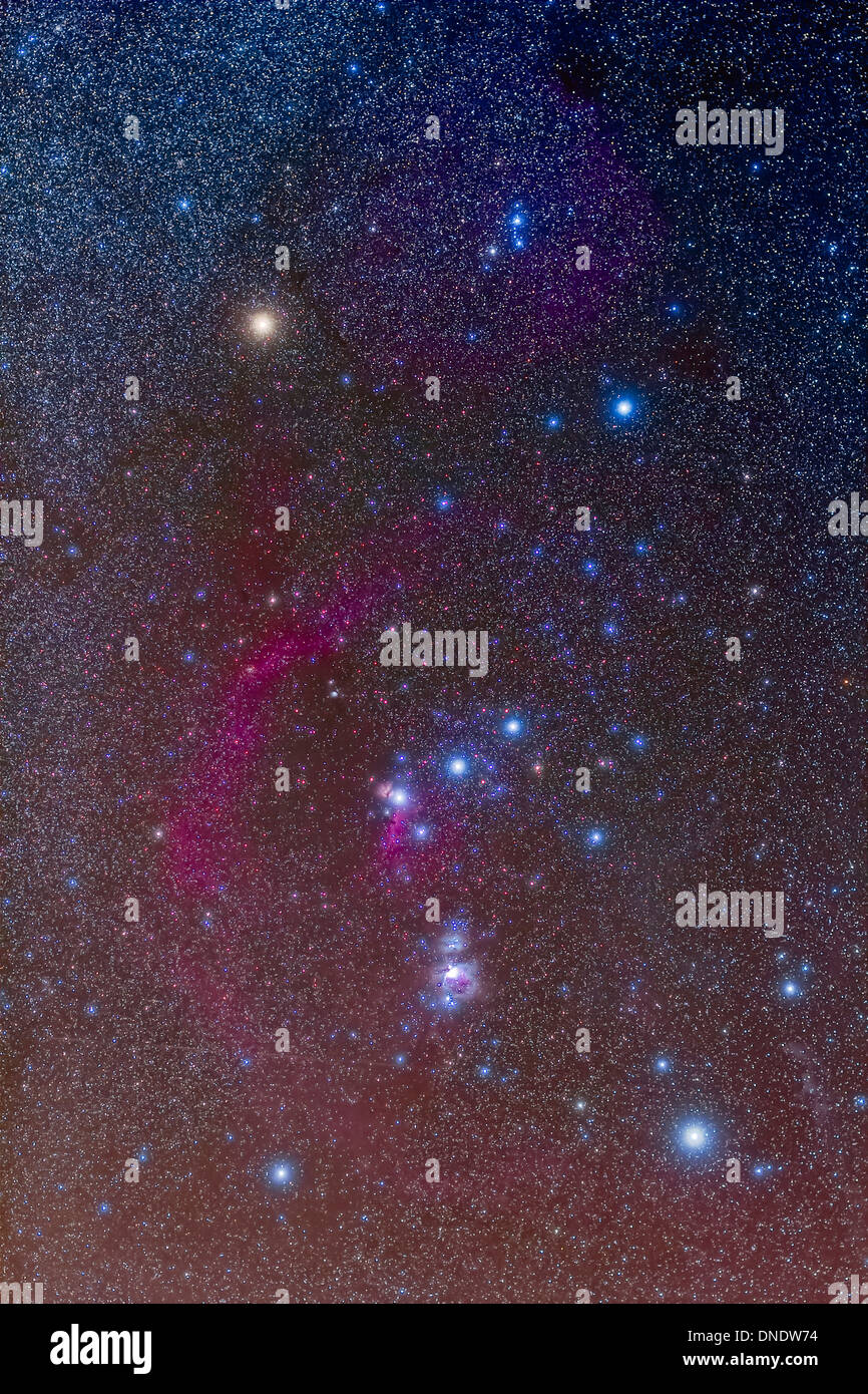 Das Sternbild Orion. Stockfoto