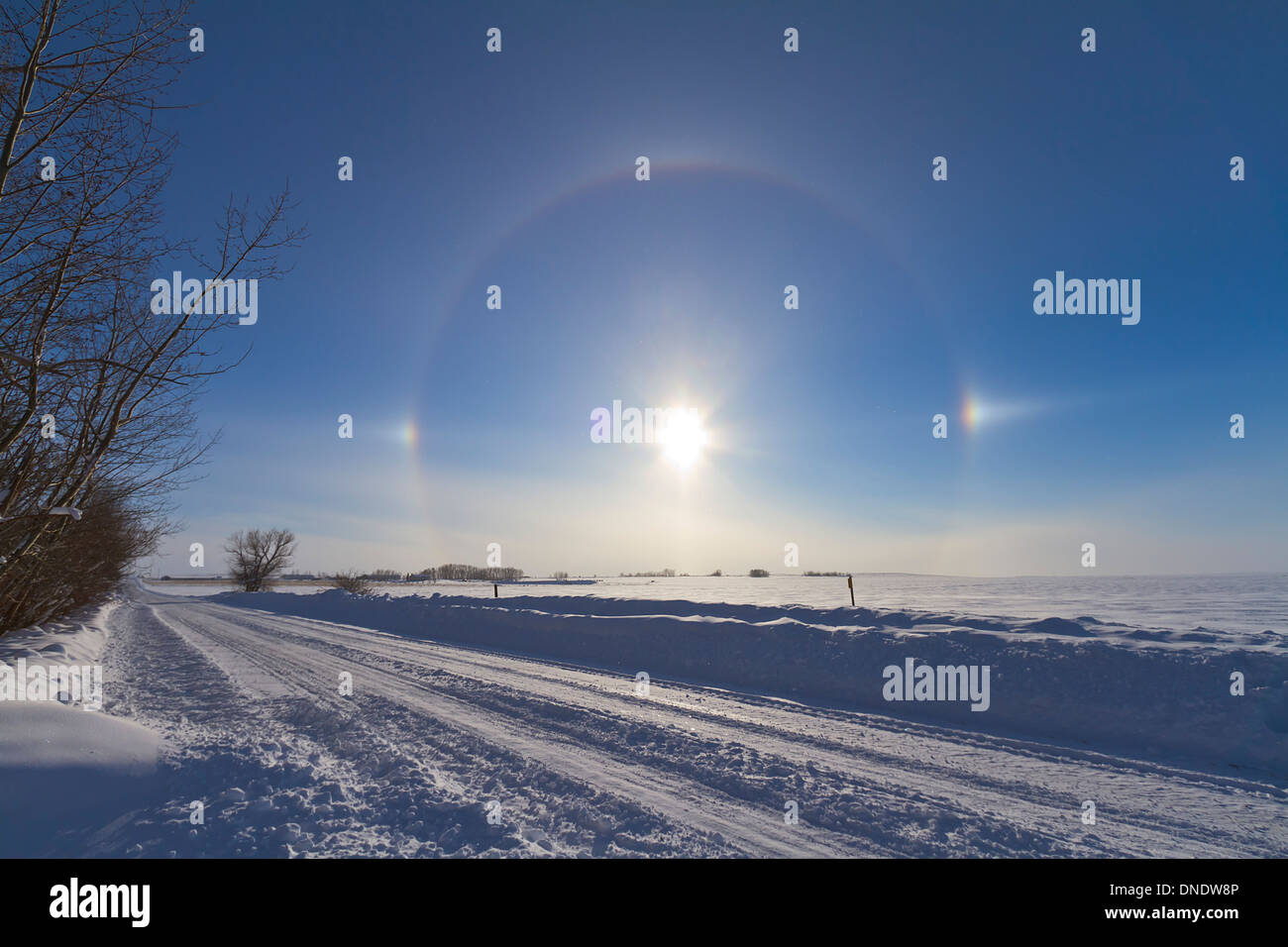 30. Januar 2011 - Solar Halo und Sundogs in Süd-Alberta, Kanada. Stockfoto