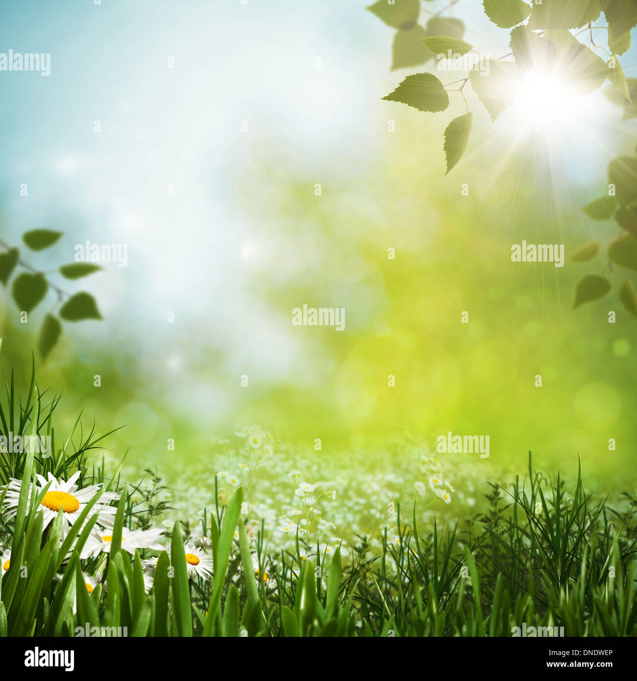 Abstrakte Winter und Weihnachten Hintergründe für Ihr design Stockfoto
