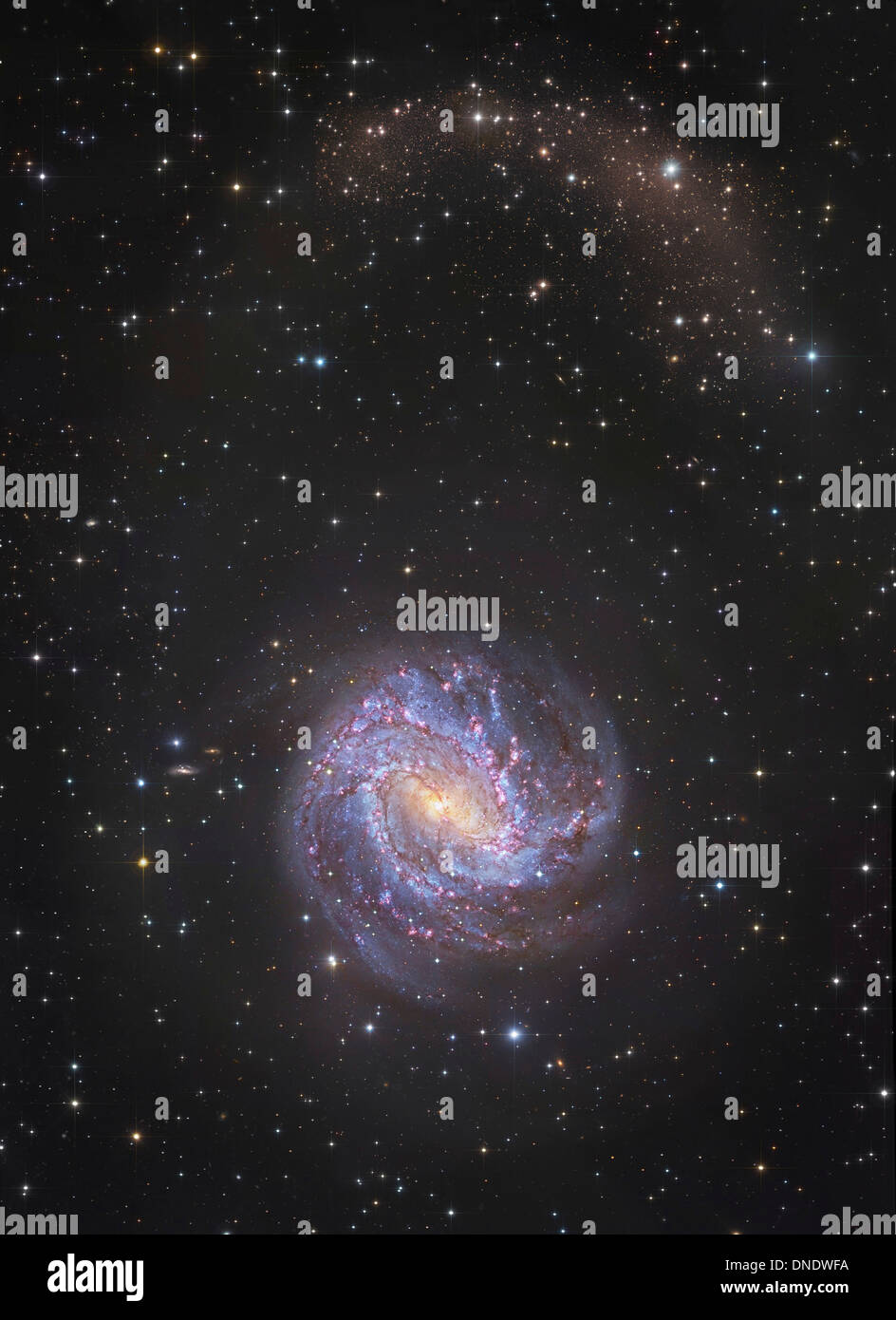 Messier 83 und seine nördlichen stellaren Gezeiten. Stockfoto
