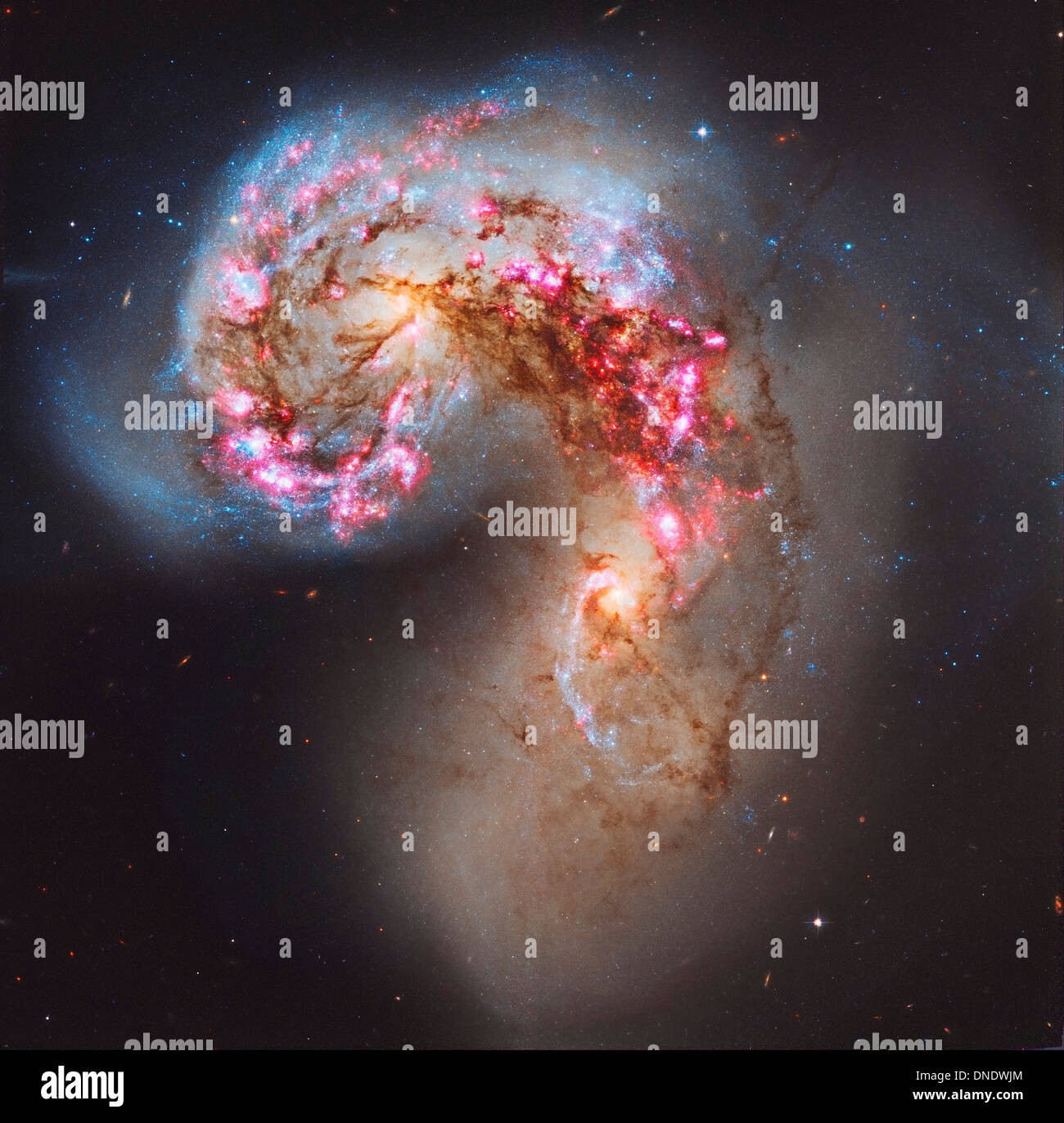 Die Antennen-Galaxien, auch bekannt als NGC 4038/NGC 4039, sind ein paar von wechselwirkenden Galaxien im Sternbild Corvus. Stockfoto