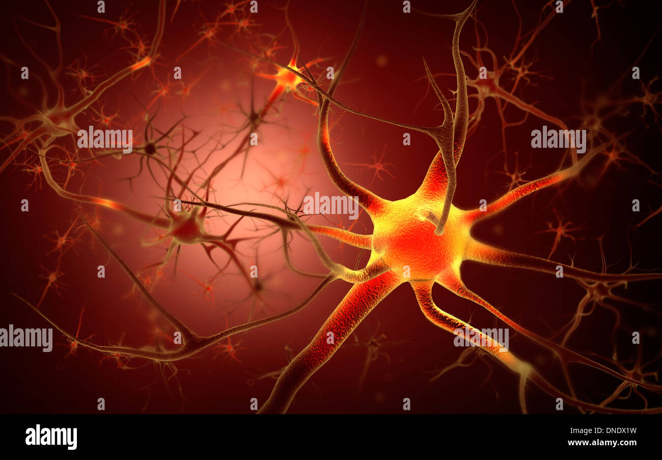 Konzeptbild des Neurons. Stockfoto