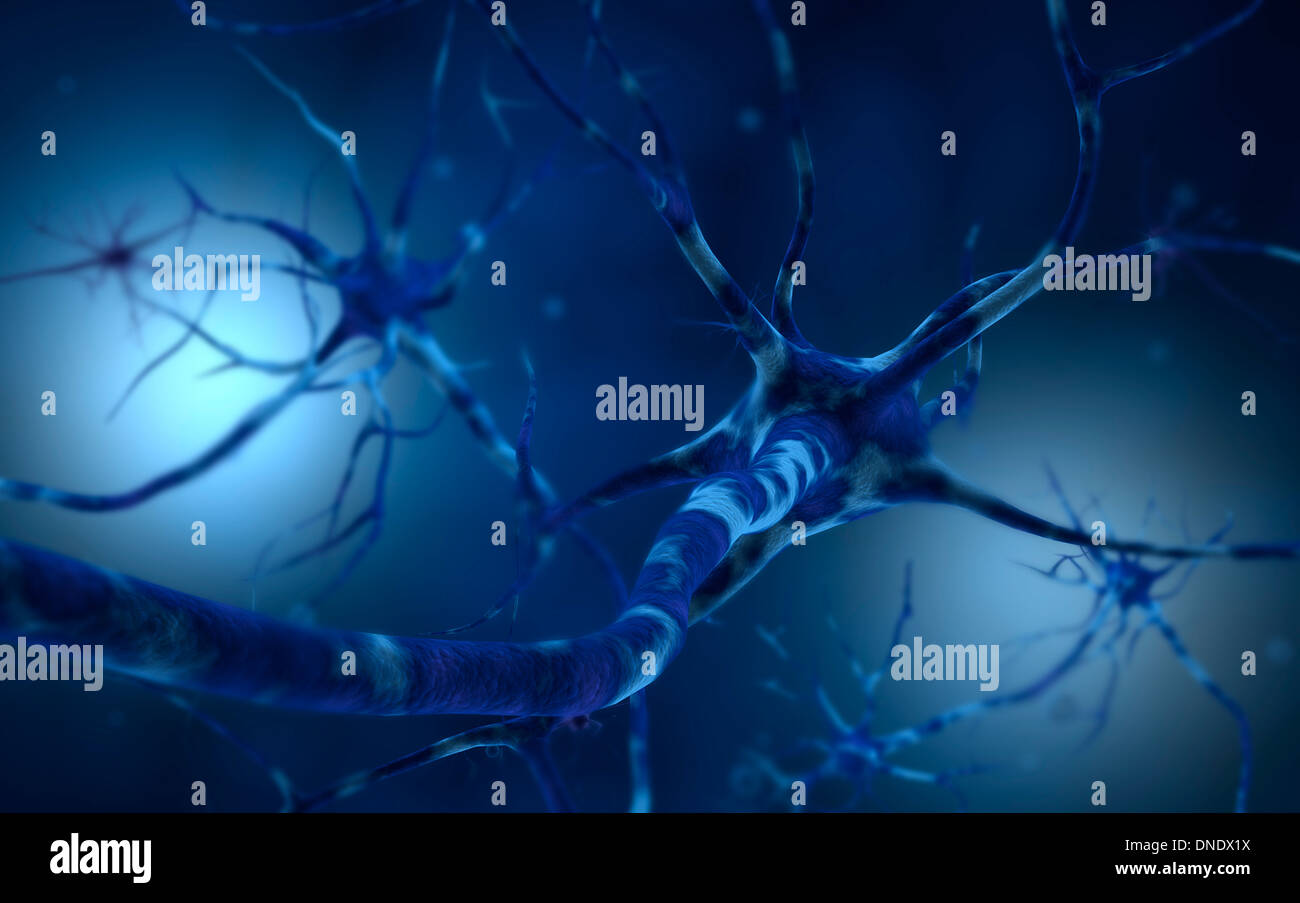 Konzeptbild des Neurons. Stockfoto