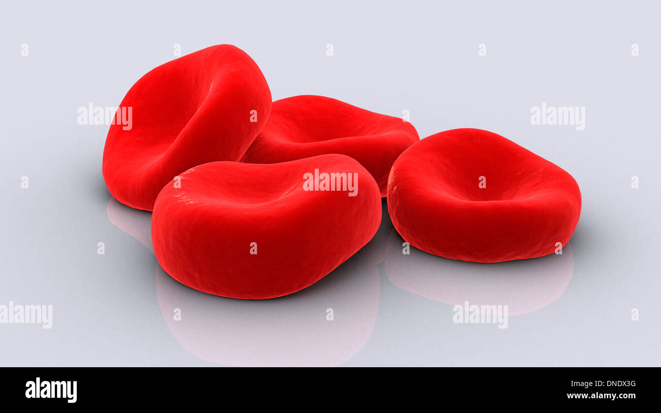Konzeptbild von roten Blutkörperchen. Stockfoto