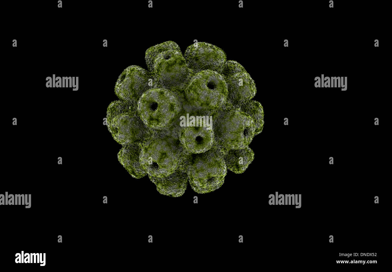 Konzeptbild von Polyomavirus. Stockfoto