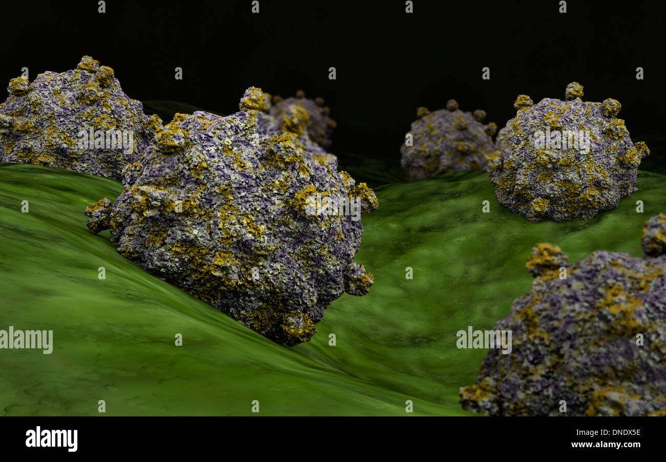 Coxsackievirus Fotos und Bildmaterial in hoher Auflösung Alamy