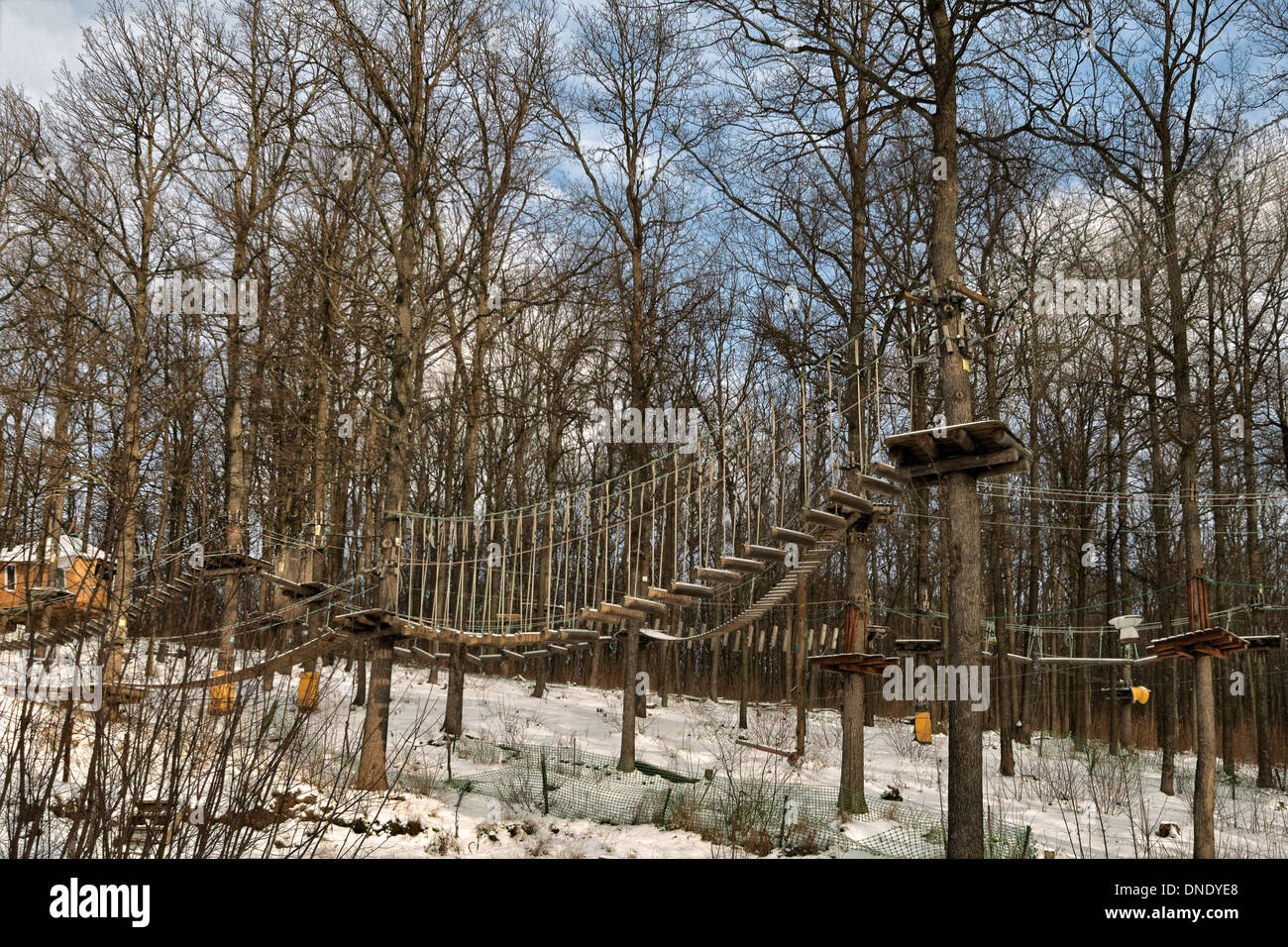 Kälte, Wald, Eis, Landschaft, nicht-städtisches Motiv, Schnee, Baum, Winter, Wald, Frost, gefrorene, ruhige Szene, Abenteuer, Hintergründe, Stockfoto