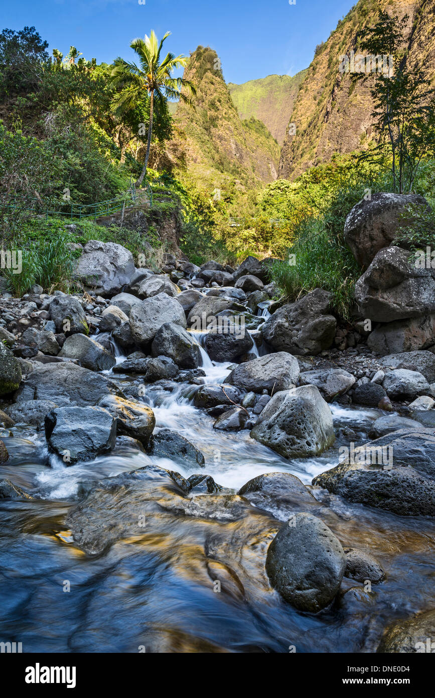 Die herrlichen Gipfel der Iao Nadel in Central Maui. Stockfoto