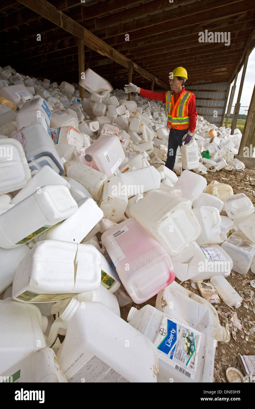 Arbeiter Sortieren Behälter an Pestiziden recycling Depot, Mountain View County, Alberta, Kanada. Stockfoto
