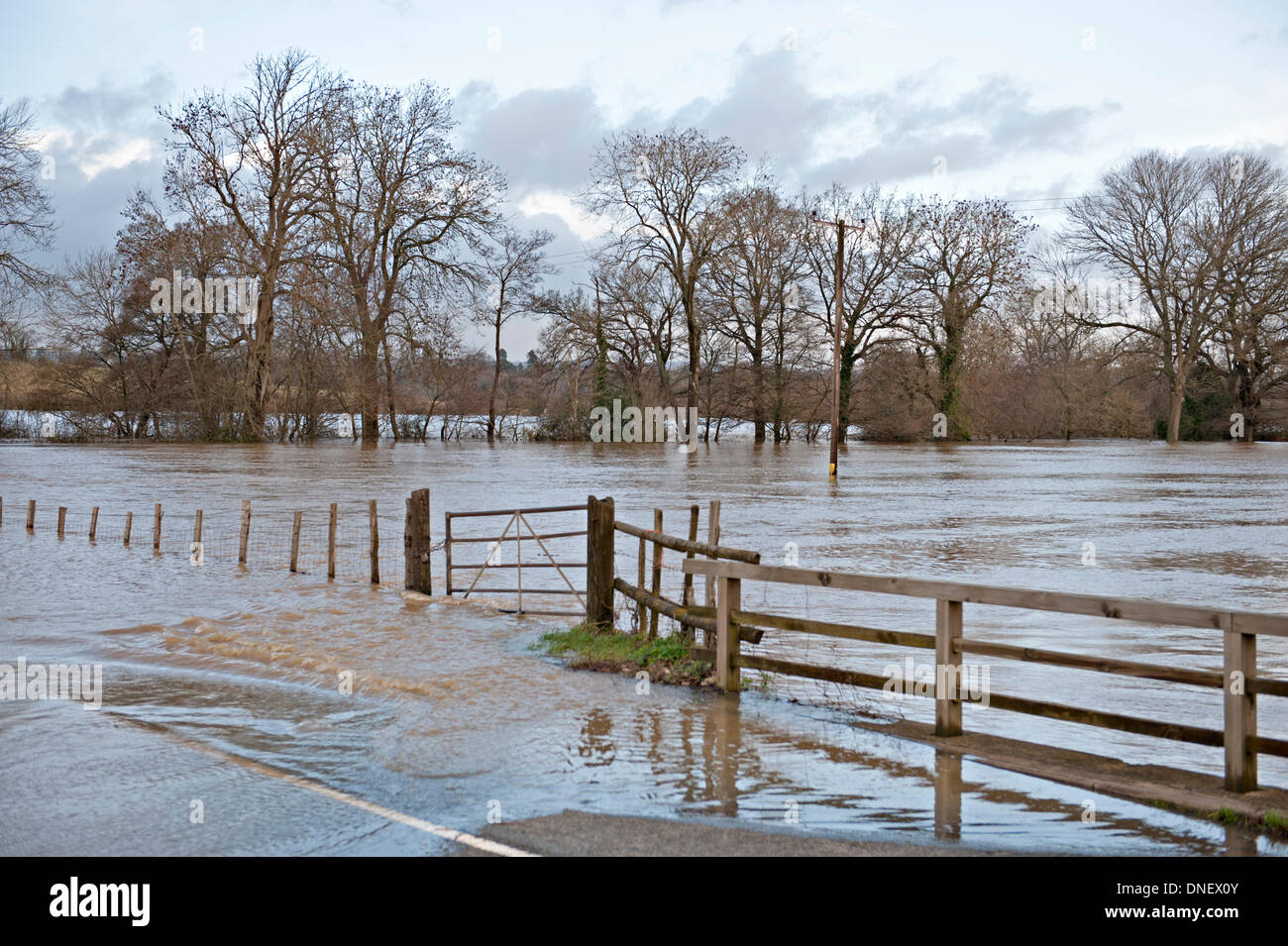 Tonbridge, Kent, UK 24. Dezember 2013. Der Fluss Medway Überschwemmungen an der Tonbridge, Leigh Straße Credit: Patrick Nairne/Alamy Live-Nachrichten Stockfoto
