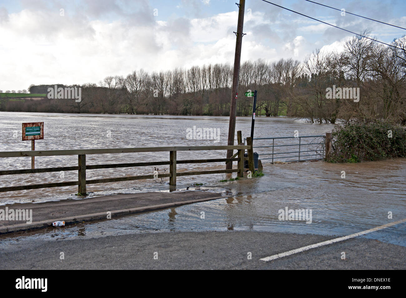 Tonbridge, Kent, UK 24. Dezember 2013. Der Fluss Medway Überschwemmungen an der Tonbridge, Leigh Straße Credit: Patrick Nairne/Alamy Live-Nachrichten Stockfoto
