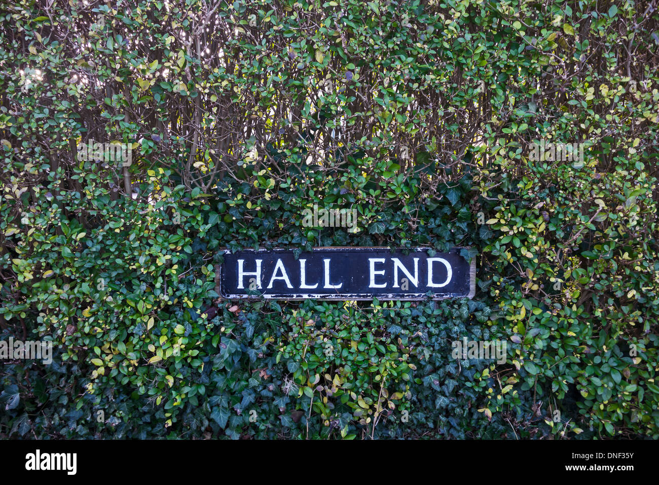 Name Straßenschild in Hecke Milton Stockfoto