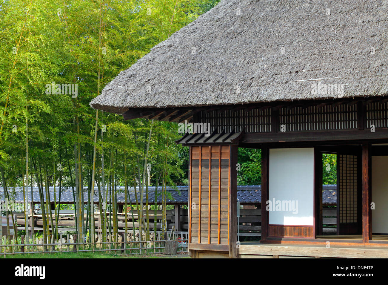 Strohgedeckten Dach und Bambus Hain in der alten japanischen Gartenhaus  Tokio Japan Stockfotografie - Alamy