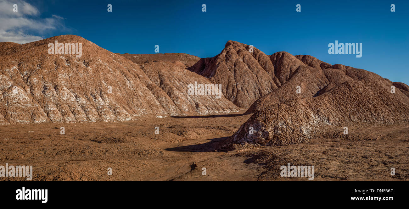 ARGENTINIEN-SÜDAMERIKA-REISE-ATACAMA-WÜSTE Stockfoto
