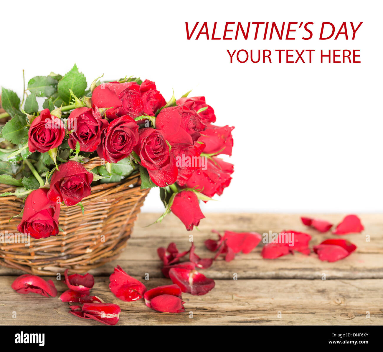 perfekte Valentinstag rose Blumen Stockfoto